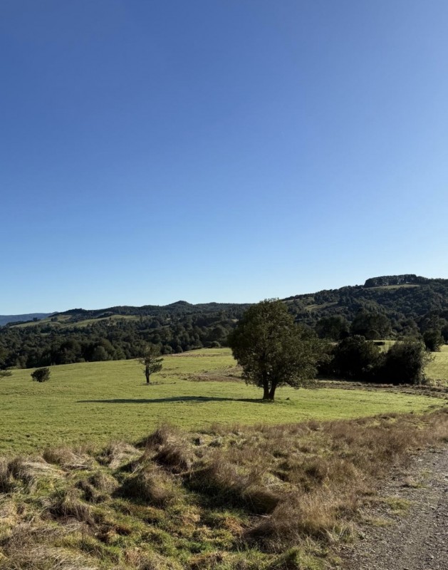 en Venta Parcelas en Ancud Chiloé!