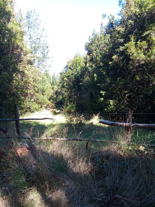 en Venta 57,4 Hectáreas en Región de los Lagos!