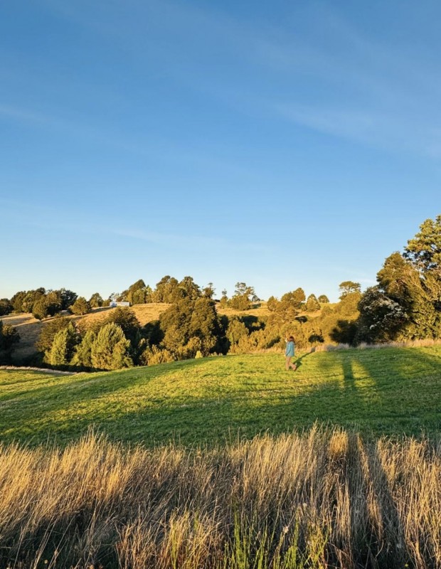 en Venta Parcelas en Ancud Chiloé!