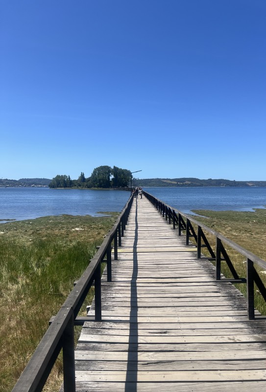 en Venta 2,3 Hectáreas Con Vista Al Mar en Chiloe!