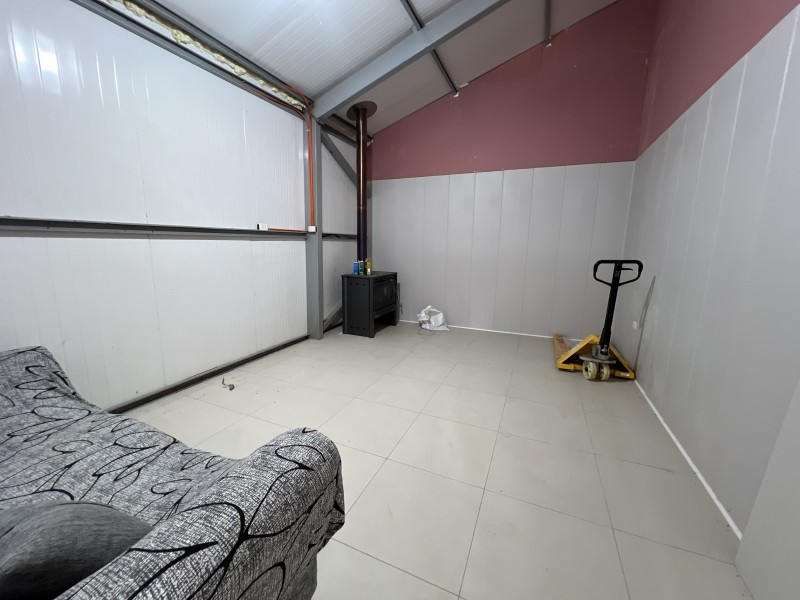 en Venta 4 Hás Plantación de Nogal de 5 Años, Pencahue!!