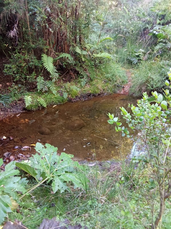 en Venta 57,4 Hectáreas en Región de los Lagos!