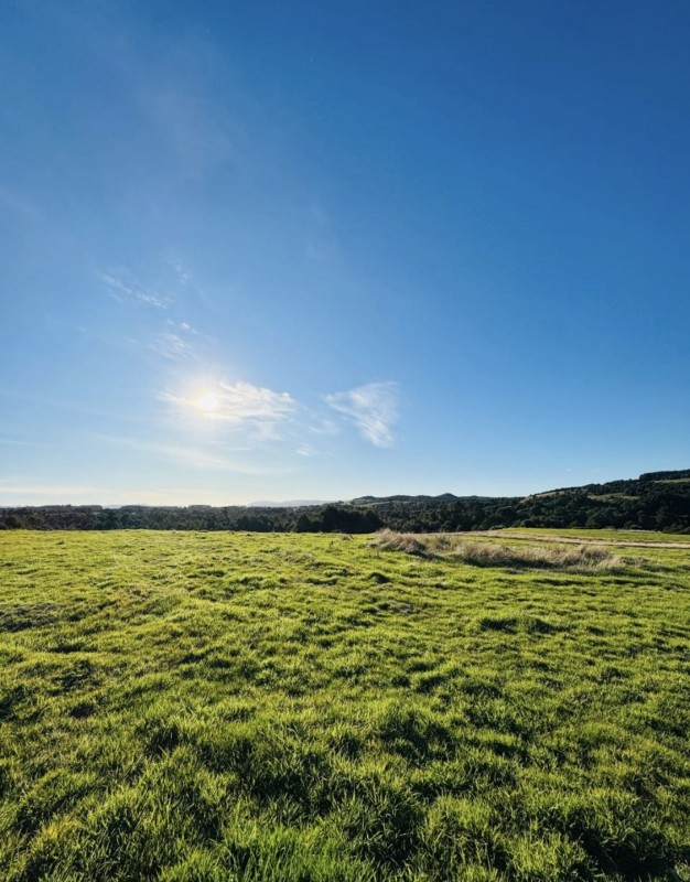 en Venta Parcelas en Ancud Chiloé!