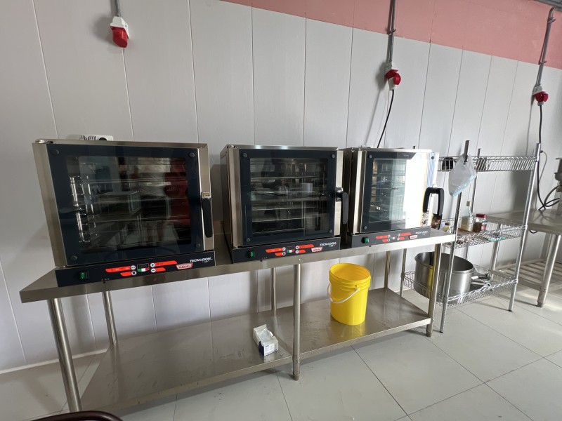 en Venta 4 Hás Plantación de Nogal de 5 Años, Pencahue!!