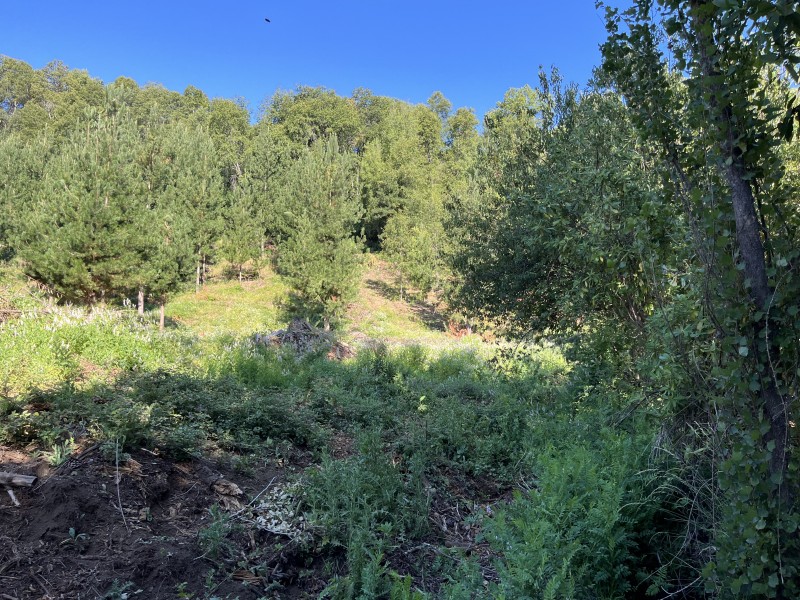 Venta de Complejo Turístico de 4 Cabañas San Clemente.