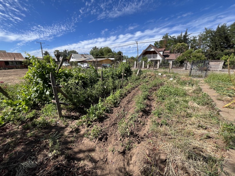 Se Vende Terreno Urbano 3.100 Mt2 en San Clemente.