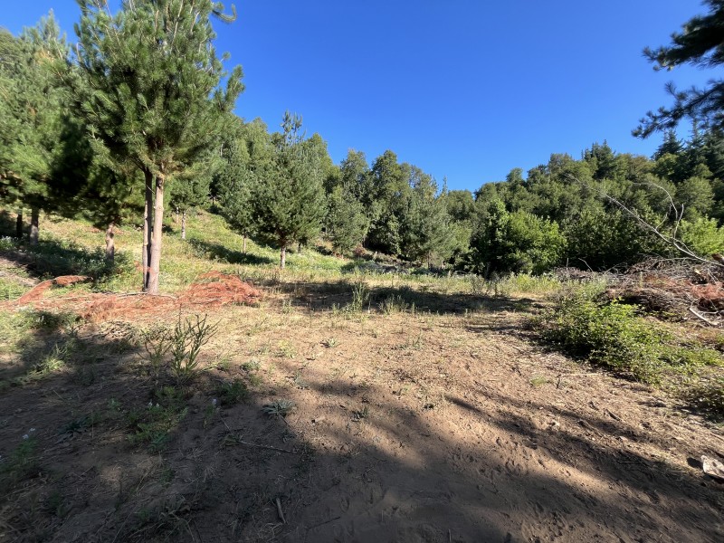 Venta de Complejo Turístico de 4 Cabañas San Clemente.