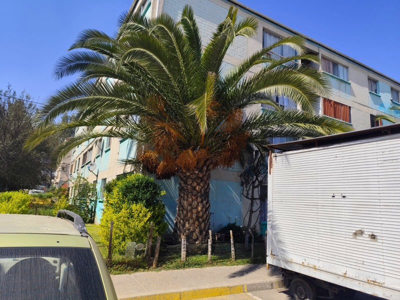 en Venta -Acogedor Departamento 48 M2- Altas Cumbres-Peñalol