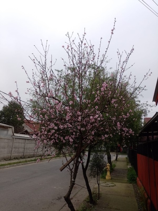 Venta de Casa Villa Doña Florencia