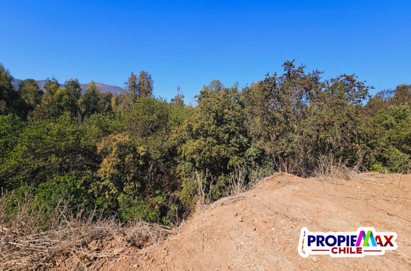 Parcela de 3800 M2 en Condominio Bosques de Mantagua