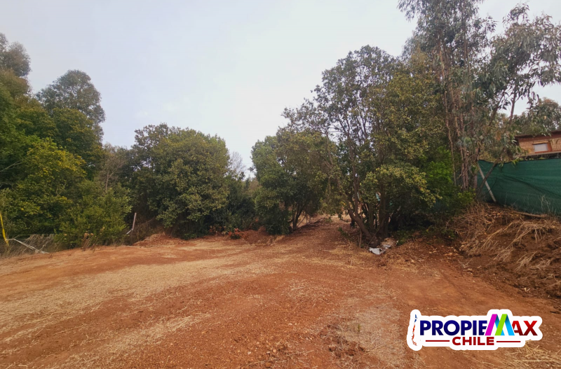 Parcela de 3800 M2 en Condominio Bosques de Mantagua