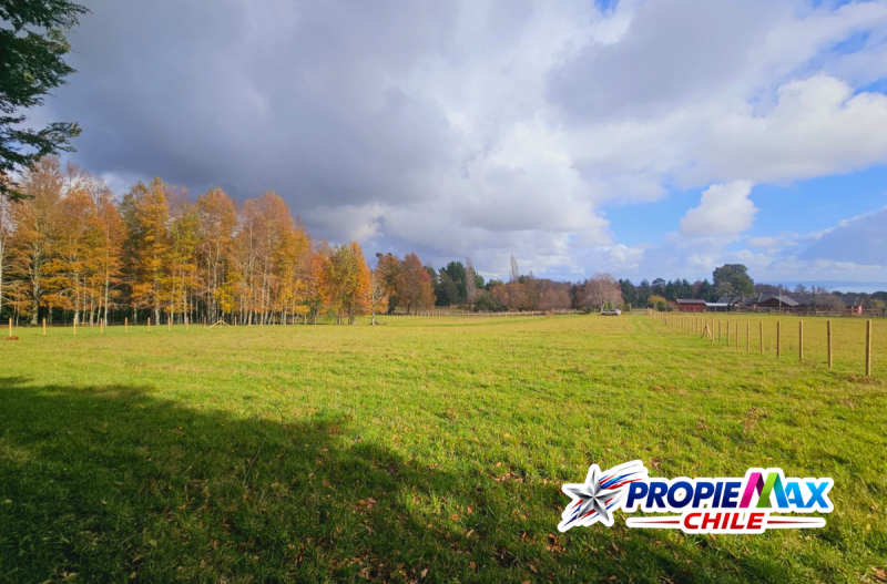 Fotografía de Parcela de 6.200 M² en Exclusivo Sector los Riscos
