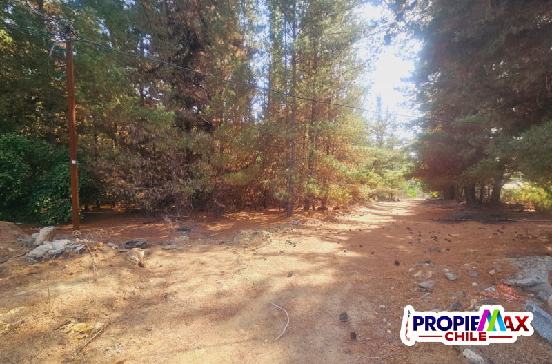 Terreno Industrial de 10.000M² Sector los Pinos de Reñaca