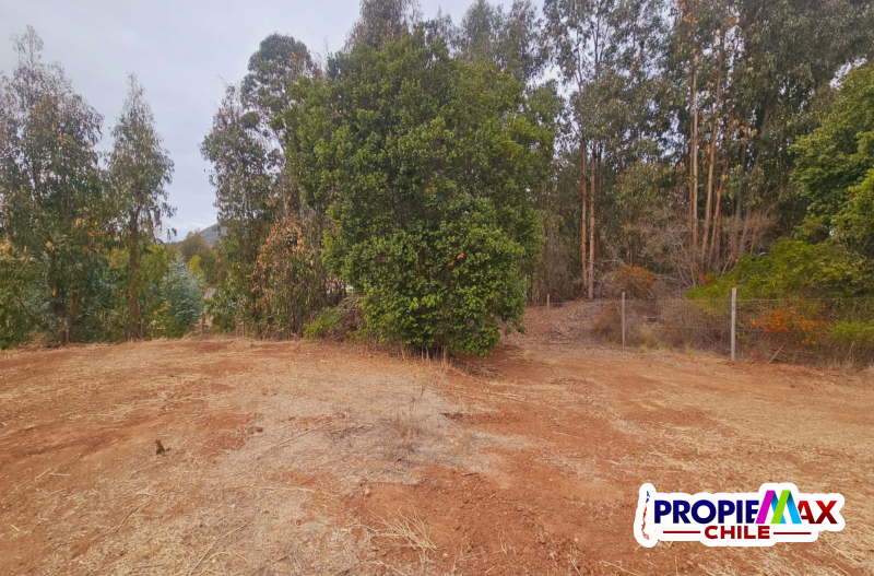 Parcela de 3800 M2 en Condominio Bosques de Mantagua