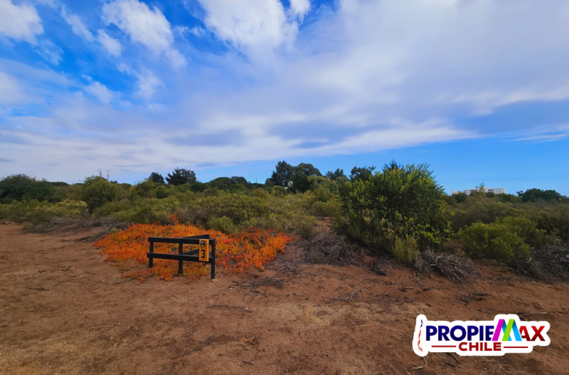 Vendemos 17 Lotes de 1.000M², Parcelacion Mirador Oceanico
