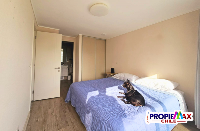 Departamento Edificio Medano, Bosques de Montemar, Mariposa