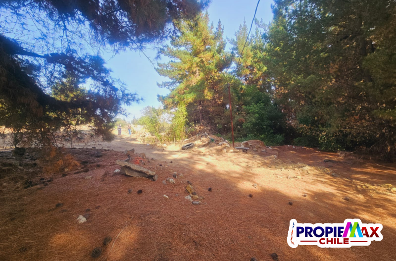 Terreno Industrial de 10.000M² Sector los Pinos de Reñaca