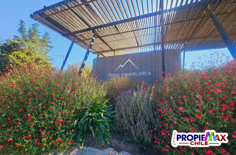 Vendemos Terreno 5000M2 en Condominio Terra Casablanca