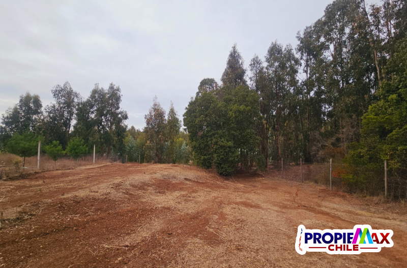 Parcela de 3800 M2 en Condominio Bosques de Mantagua
