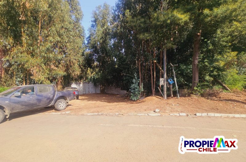 Terreno Industrial de 10.000M² Sector los Pinos de Reñaca