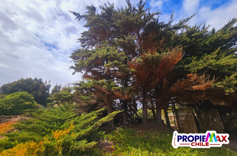 Vendemos 17 Lotes de 1.000M², Parcelacion Mirador Oceanico