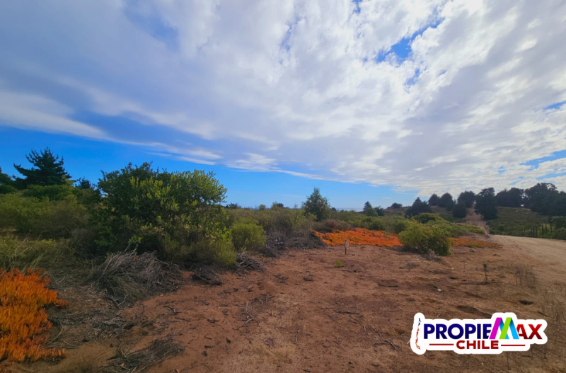 Vendemos 17 Lotes de 1.000M², Parcelacion Mirador Oceanico