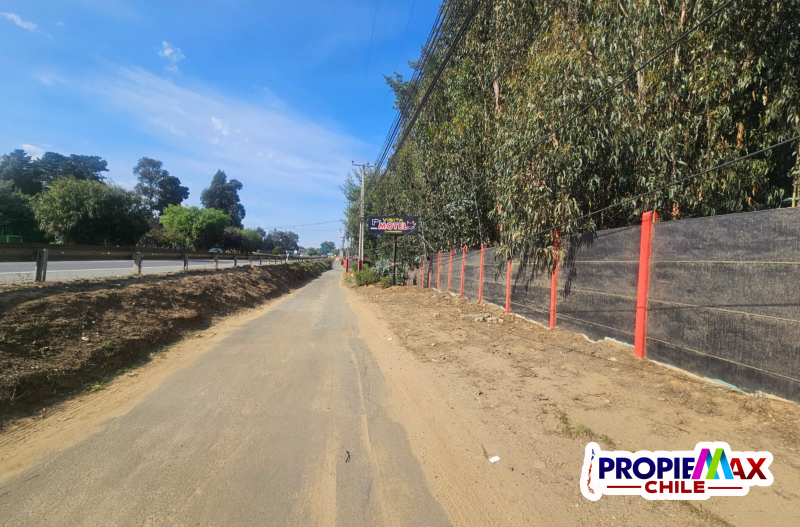 Terreno Industrial de 10.000M² Sector los Pinos de Reñaca