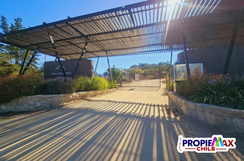 Fotografía de Vendemos Terreno 5000M2 en Condominio Terra Casablanca