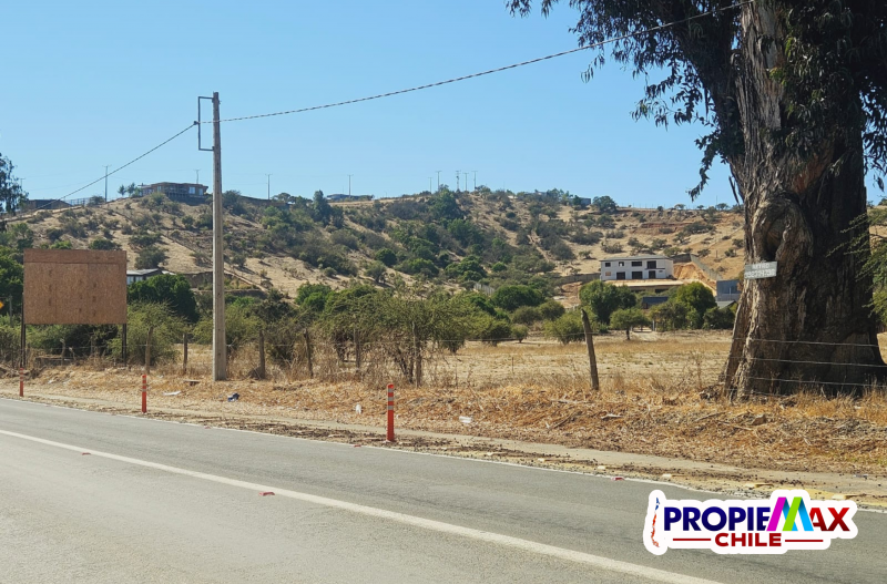 Vendemos Terreno 5000M2 en Condominio Terra Casablanca