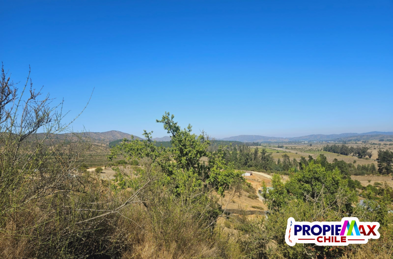 Vendemos Terreno 5000M2 en Condominio Terra Casablanca