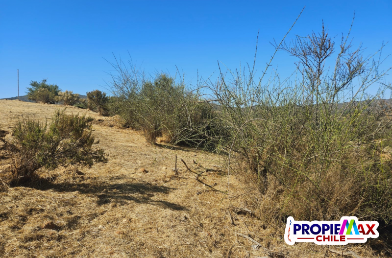 Vendemos Terreno 5000M2 en Condominio Terra Casablanca