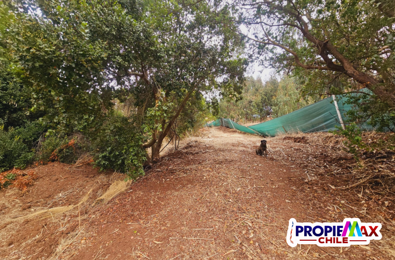 Parcela de 3800 M2 en Condominio Bosques de Mantagua