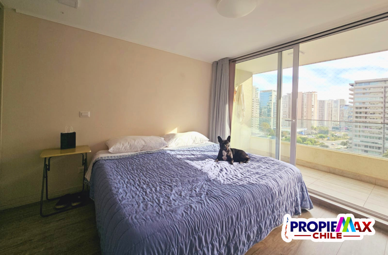 Departamento Edificio Medano, Bosques de Montemar, Mariposa