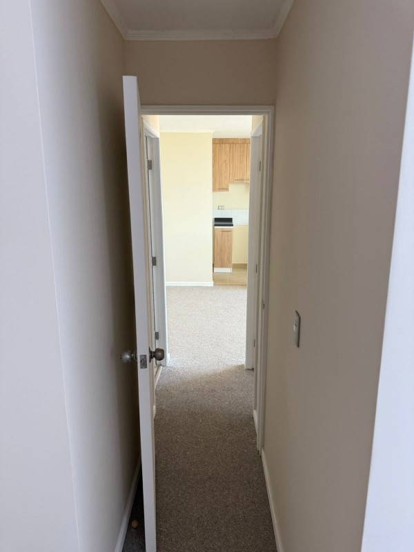 Departamento Nuevo en Arriendo Doña Matilde Curicó