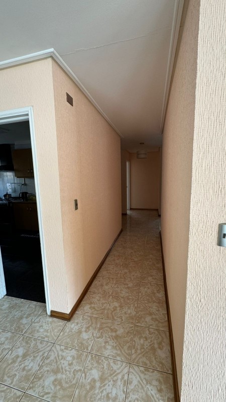 Amplia Casa en Gran Terreno, Belloto Sur