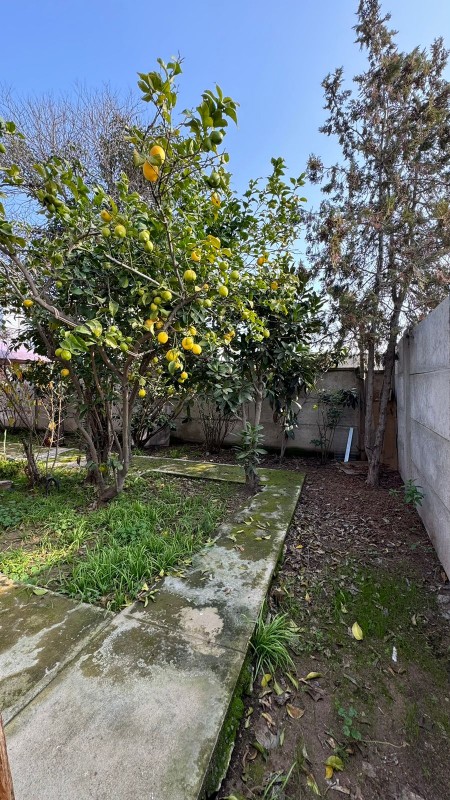 Amplia Casa en Gran Terreno, Belloto Sur