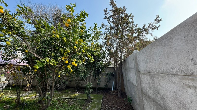 Amplia Casa en Gran Terreno, Belloto Sur
