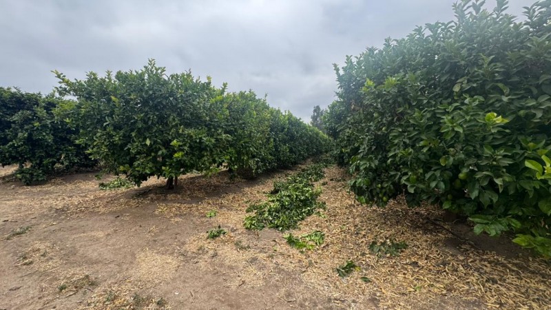 Gran Terreno Plano, Ideal Inmobilarias, Centro de Limache