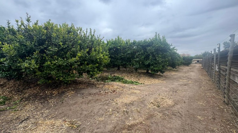 Gran Terreno Plano, Ideal Inmobilarias, Centro de Limache