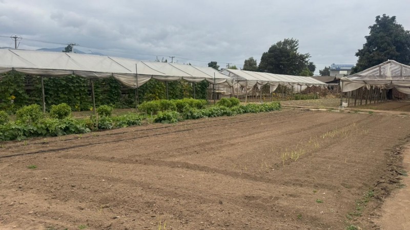 Gran Terreno Plano, Ideal Inmobilarias, Centro de Limache