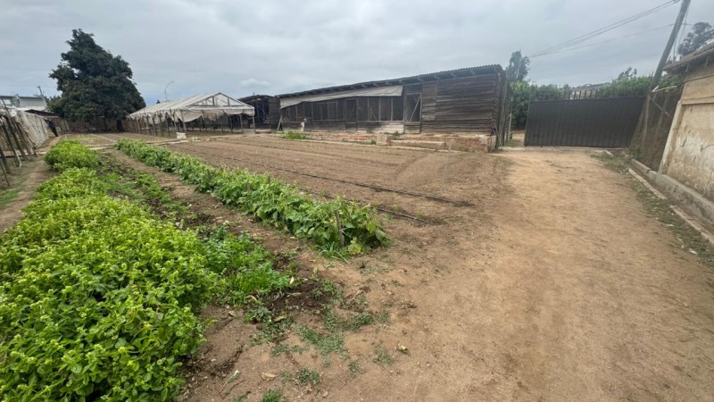 Gran Terreno Plano, Ideal Inmobilarias, Centro de Limache