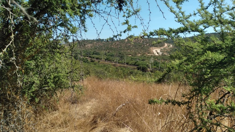 Parcela Hacienda San Isidro, Villa Alemana