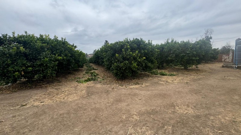 Gran Terreno Plano, Ideal Inmobilarias, Centro de Limache