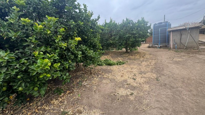 Gran Terreno Plano, Ideal Inmobilarias, Centro de Limache