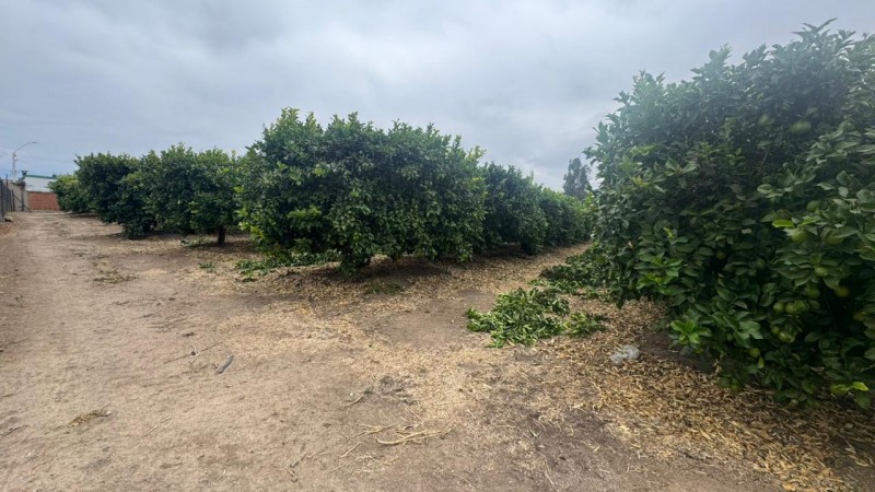 Gran Terreno Plano, Ideal Inmobilarias, Centro de Limache