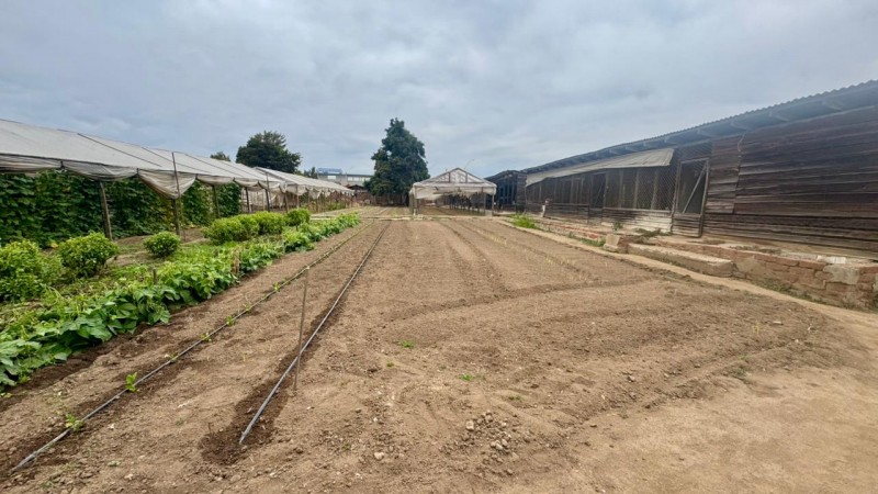 Gran Terreno Plano, Ideal Inmobilarias, Centro de Limache