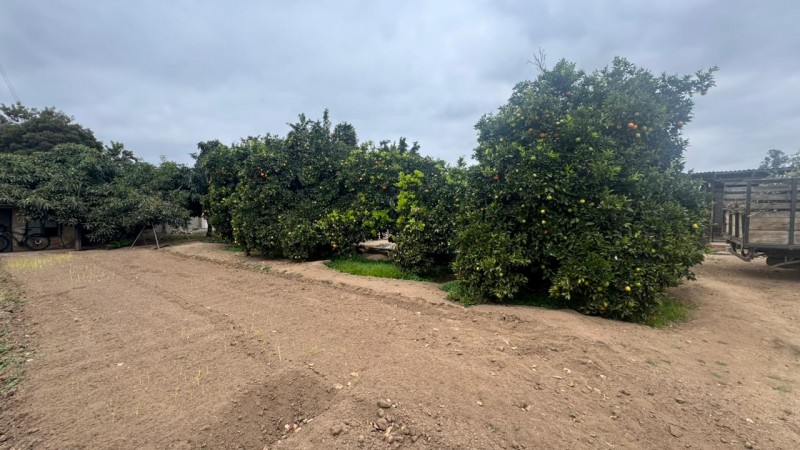 Gran Terreno Plano, Ideal Inmobilarias, Centro de Limache