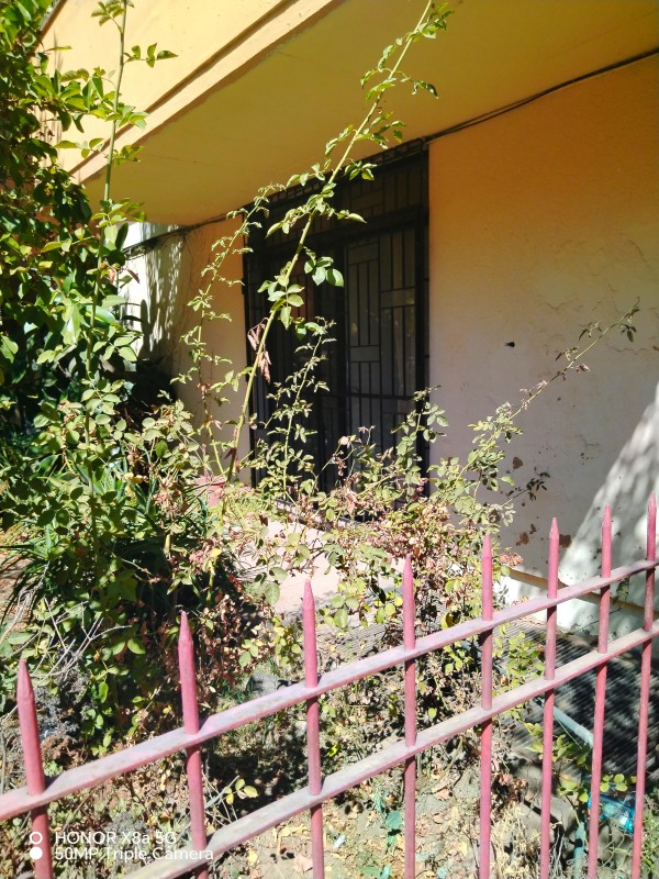 Amplio y Luminoso Departamento en Tradicional Barrio de Ñuno