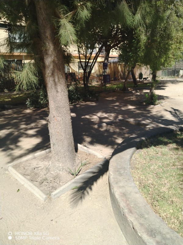 Amplio y Luminoso Departamento en Tradicional Barrio de Ñuno