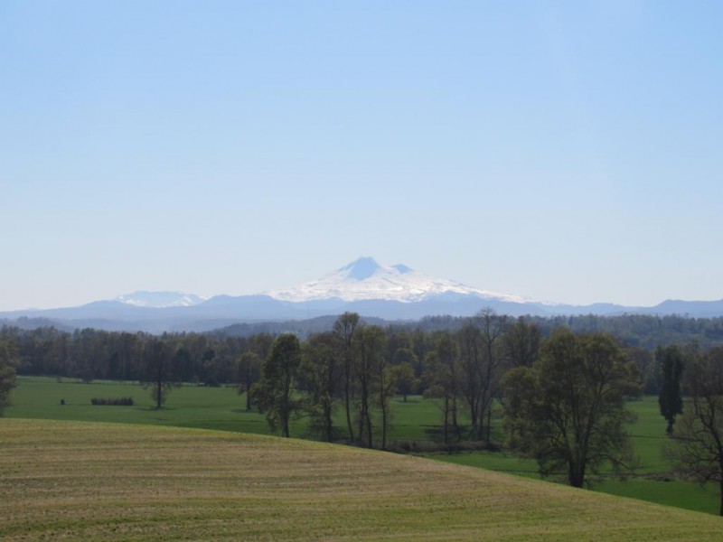 Parcela 5000 M2